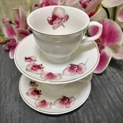 ОРХИДЕИ ЦАРУВАТ У ДОМА