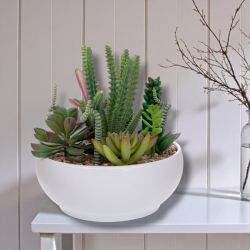 ИЗКУСТВЕНИ САКУЛЕНТНИ РАСТЕНИЯ В КАШПА - РЕАЛЕН ДОПИР 