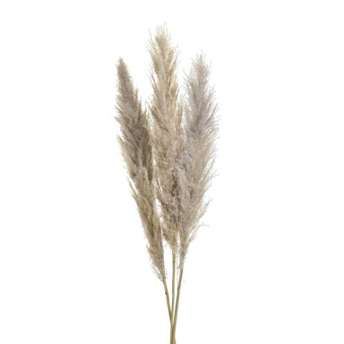 Естествена декоративна трева 110 см 