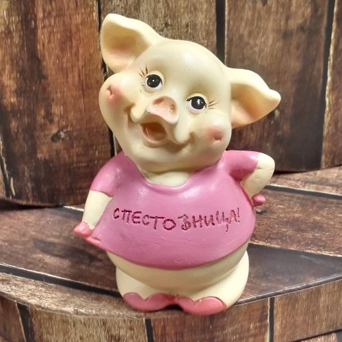 КАСИЧКА ПРАСЕНЦЕ - БЪДИ ПЕСТЕЛИВ