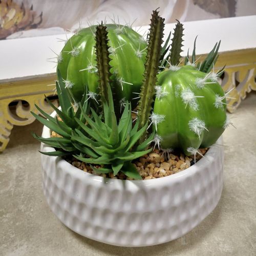 ИЗКУСТВЕНИ КАКТУСИ В КАШПА