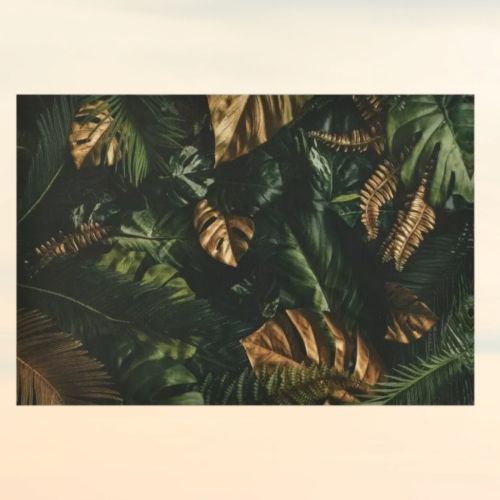 Картина - Арт листа 100х70 см