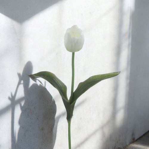 СТРЪК БЯЛО ЛАЛЕ