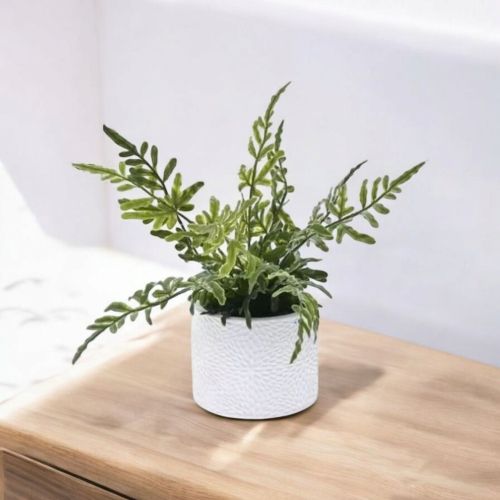 ИЗКУСТВЕНА ПАПРАТ В КАШПА  27 СМ