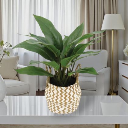 ИЗКУСТВЕНО РАСТЕНИЕ В КАШПА - РЕАЛЕН ДОПИР