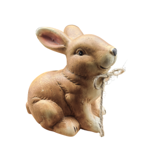 КАСИЧКА ЗАЙЧЕ