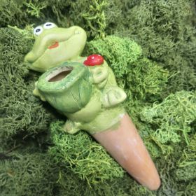 ПРИСПОСОБЛЕНИЕ ЗА ПОЛИВАНЕ НА САКСИЯ ЖАБКА - ЖИВИ ЦВЕТЯ