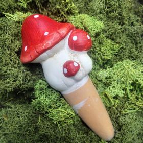 ПРИСПОСОБЛЕНИЕ ЗА ПОЛИВАНЕ НА САКСИЯ ГЪБКИ - ЖИВИ ЦВЕТЯ