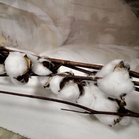 СТРЪК ПАМУК ЕСТЕСТВЕН 100 СМ 