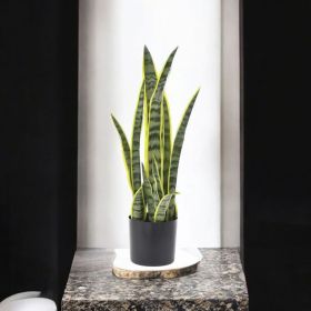 ИЗКУСТВЕНО РАСТЕНИЕ В САКСИЯ