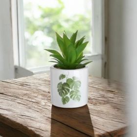 ИЗКУСТВЕНО СУКУЛЕНТНО РАСТЕНИЕ В КАШПА - ЖИВОТ БЕЗ СВЕТЛИНА