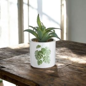 ИЗКУСТВЕНО СУКУЛЕНТНО РАСТЕНИЕ В КАШПА - ЖИВОТ БЕЗ СВЕТЛИНА