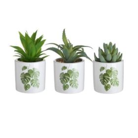 ИЗКУСТВЕНО СУКУЛЕНТНО РАСТЕНИЕ В КАШПА - ЖИВОТ БЕЗ СВЕТЛИНА