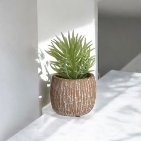 ИЗКУСТВЕНО СУКУЛЕНТНО РАСТЕНИЕ В КАШПА -  ЖИВОТ БЕЗ СВЕТЛИНА