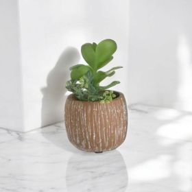 ИЗКУСТВЕНО СУКУЛЕНТНО РАСТЕНИЕ В КАШПА -  ЖИВОТ БЕЗ СВЕТЛИНА