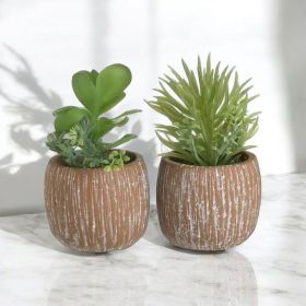 ИЗКУСТВЕНО СУКУЛЕНТНО РАСТЕНИЕ В КАШПА -  ЖИВОТ БЕЗ СВЕТЛИНА