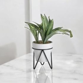 ИЗКУСТВЕНО СУКУЛЕНТНО РАСТЕНИЕ В КАШПА НА ПОСТАВКА - ЖИВОТ БЕЗ СВЕТЛИНА