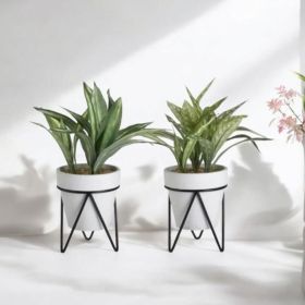 ИЗКУСТВЕНО СУКУЛЕНТНО РАСТЕНИЕ В КАШПА НА ПОСТАВКА - ЖИВОТ БЕЗ СВЕТЛИНА