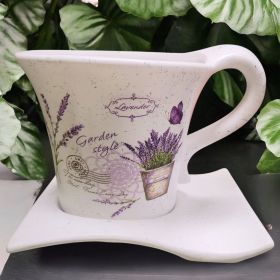 САКСИЯ С ЧИНИЯ - ПРОЛЕТНА ГРАДИНА