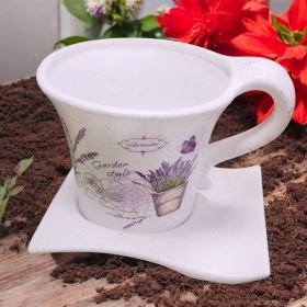 САКСИЯ С ЧИНИЯ - ПРОЛЕТНА ГРАДИНА