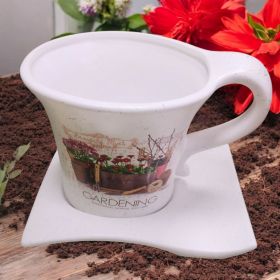 САКСИЯ С ЧИНИЯ - ПРОЛЕТНА ГРАДИНА