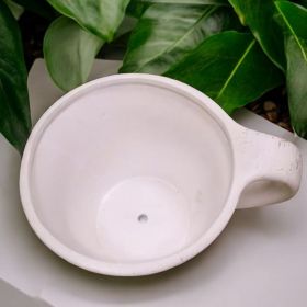 САКСИЯ С ЧИНИЯ - ПРОЛЕТНА ГРАДИНА