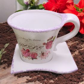 САКСИЯ С ЧИНИЯ - ПРОЛЕТНА ГРАДИНА