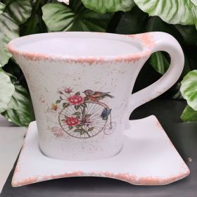 САКСИЯ С ЧИНИЯ - ПРОЛЕТНА ГРАДИНА