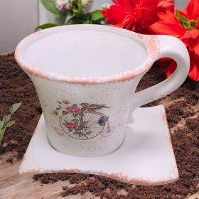 САКСИЯ С ЧИНИЯ - ПРОЛЕТНА ГРАДИНА