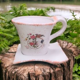 САКСИЯ С ЧИНИЯ - ПРОЛЕТНА ГРАДИНА