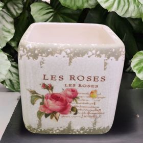 КАШПА / САКСИЯ - РОЗИТЕ НА ИЗТОКА