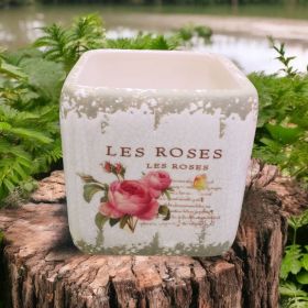 КАШПА / САКСИЯ - РОЗИТЕ НА ИЗТОКА