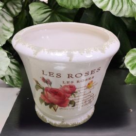 САКСИЯ / КАШПА - РОЗИТЕ НА ИЗТОКА