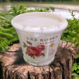 САКСИЯ / КАШПА - РОЗИТЕ НА ИЗТОКА