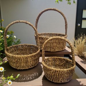 КОМПЛЕКТ 3 БРОЯ КОШНИЦИ - ПРИРОДА У ДОМА