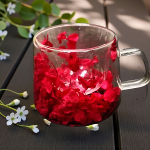 ТЕРМО ЧАША С ДВОЙНИ СТЕНИ - ПРИРОДА В АКВАРИУМ