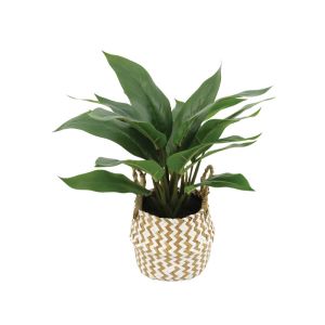 ИЗКУСТВЕНО РАСТЕНИЕ В КАШПА - РЕАЛЕН ДОПИР