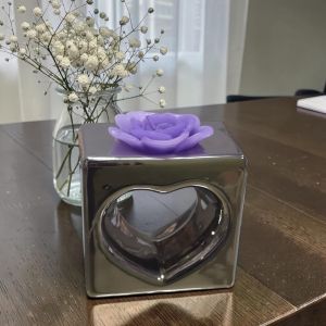 СВЕЩНИК СЪРЦЕ - ПЛАТИНЕНИ НЮАНСИ